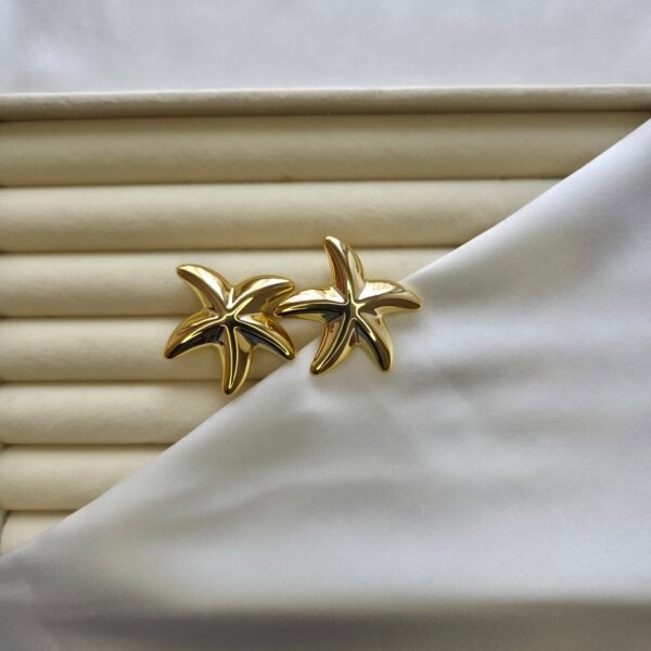 deniz-yildizi-kupe-1 Deniz Yıldızı Küpe