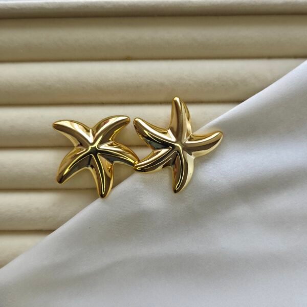 deniz-yildizi-kupe-2 Deniz Yıldızı Küpe