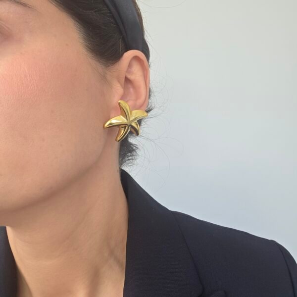 deniz-yildizi-kupe-3 Deniz Yıldızı Küpe